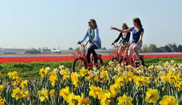 Lễ hội Keukenhof đã chính thức mở cửa cho du khách đến tham quan vào ngày 21/3/2013