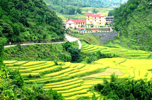 Hậu cần nhân dân trong “Đường lên Tây Bắc”