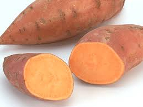 Khoai lang giàu beta carotene giúp phòng ngừa tình trạng thoái hóa điểm vàng