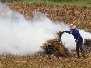  Ảnh minh họa. (Nguồn: Ngọc Hà/TTXVN)