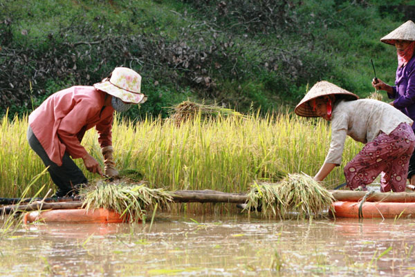 Đạ Tẻh sẵn sàng phòng, chống lụt bão