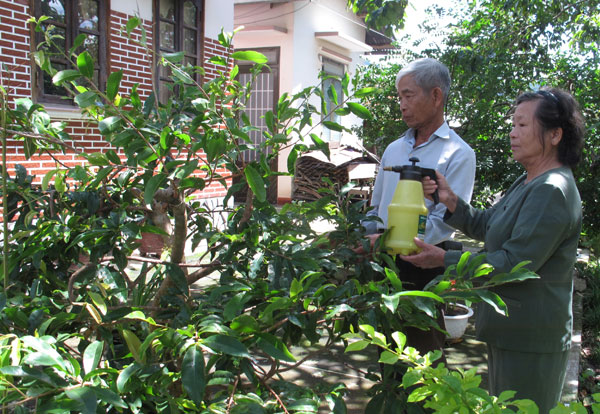 Bà Lan với cuộc sống thảnh thơi của người thương binh nặng đã hoàn thành “Giỏi việc nước” vẫn luôn “Đảm việc nhà”