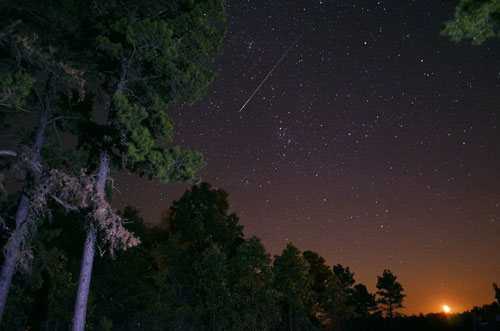 Một sao băng của Perseids 2012 do nhiếp ảnh gia Jeff Rose chụp được