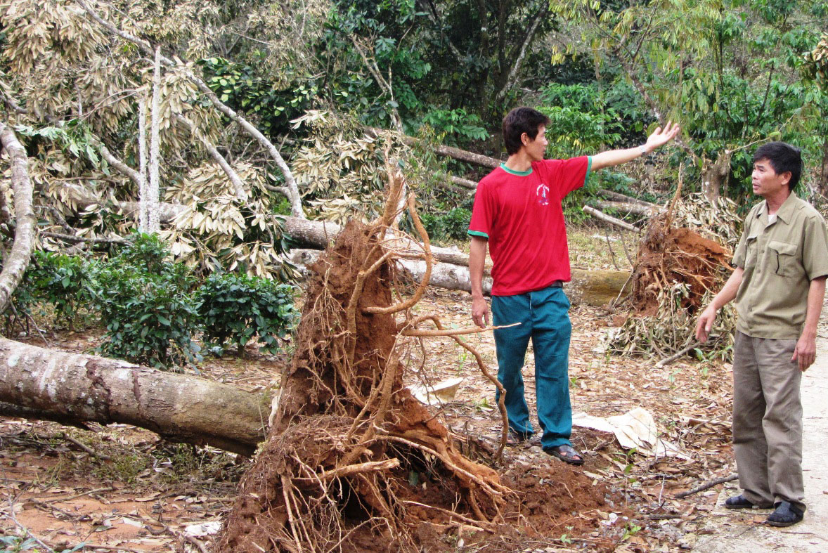 Đạ Huoai: Lốc xoáy gây thiệt hại hơn 2 tỷ đồng