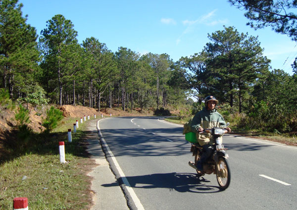 Tiếp tục triển khai chương trình UN-REDD giai đoạn II