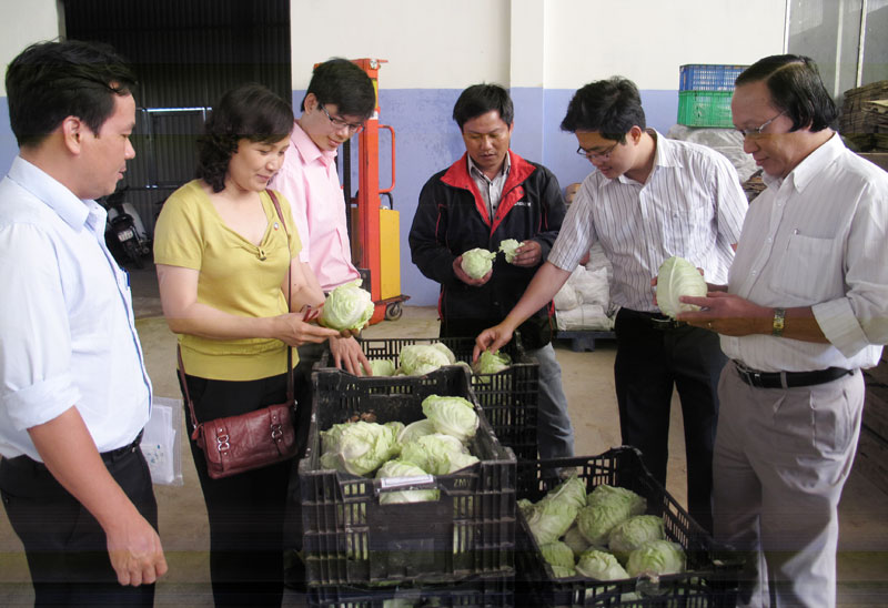 Đoàn kiểm tra liên ngành Trung ương về an toàn thực phẩm kiểm tra lấy mẫu tại HTX rau Anh Đào (Đà Lạt) năm 2013