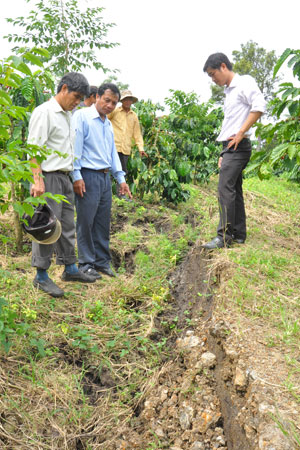 Vụ sụt lún đất ở Tân Nghĩa, Di Linh: Hỗ trợ di dời khẩn cấp 4 gia đình