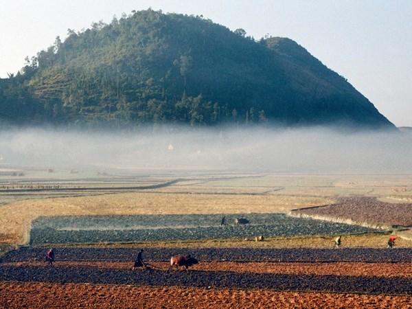 (Ảnh minh họa: Văn Phát/TTXN)