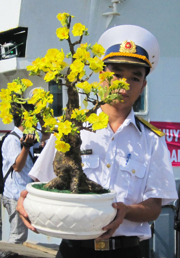 Chuyển mai vàng ra Trường Sa