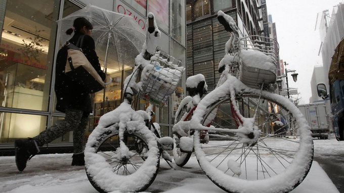 Tuyết trắng phủ kín Tokyo - Ảnh: Reuters