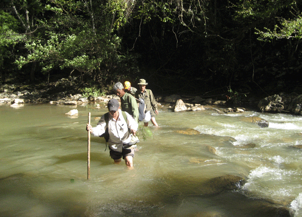 Giữ màu xanh cho quê hương