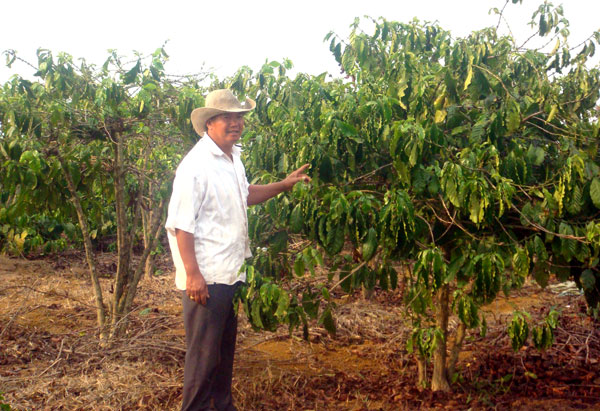 Lao động là vinh quang