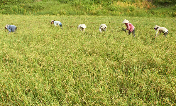 Đảng bộ mạnh, kinh tế - xã hội phát triển