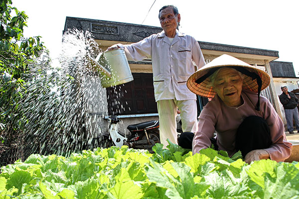 Ông Điệng, bà Ân đang vui sống tuổi già tại huyện Di Linh