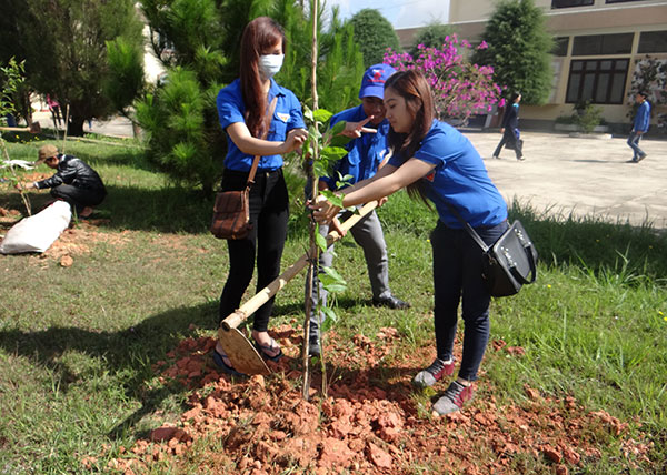 Đoàn viên thanh niên tham gia trồng cây xanh