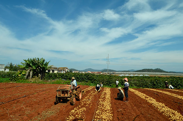 Những giải pháp sáng tạo kỹ thuật của nông dân góp phần mang lại hiệu quả trong sản xuất nông nghiệp