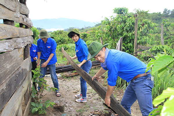 Tuổi trẻ Đại học Yersin Đà Lạt với &quot;Năm Thanh niên tình nguyện&quot; 2014