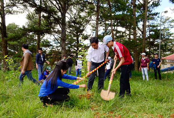 Sinh viên Đại học Đà Lạt trồng cây phủ xanh trường lớp, góp phần xây dựng thành phố Đà Lạt xanh - sạch - đẹp