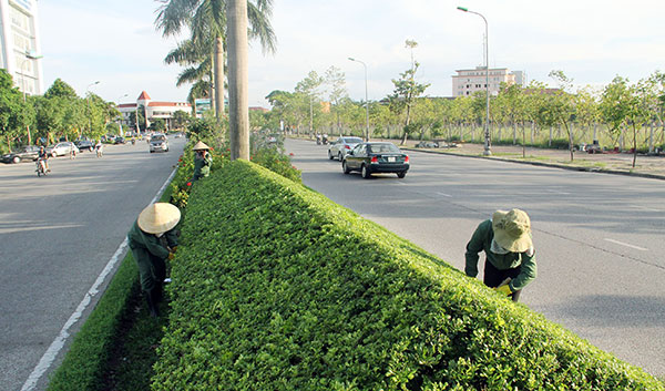 Đại lộ Lê Nin là một trong những con đường mới đang được những nữ công nhân miệt mài làm xanh - sạch - đẹp