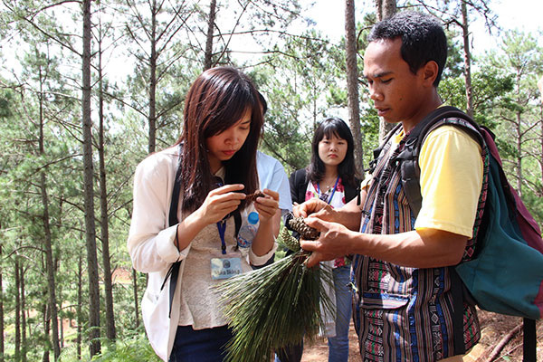  Ha Trái, một thành viên CBET đang diễn giải cho du khách về cây rừng