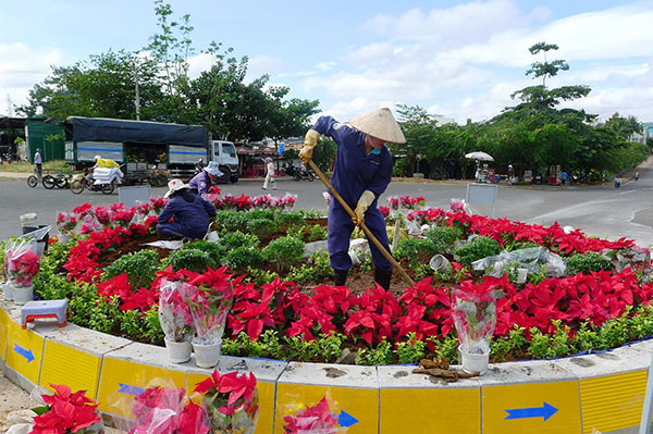 Phố Trà vào Hội