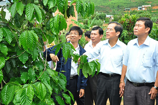 Bí thư Tỉnh ủy Nguyễn Xuân Tiến (thứ 2 phải qua) kiểm tra việc xây dựng nông thôn mới tại xã Gung Ré (huyện Di Linh). Ảnh: BÙI TRƯỞNG