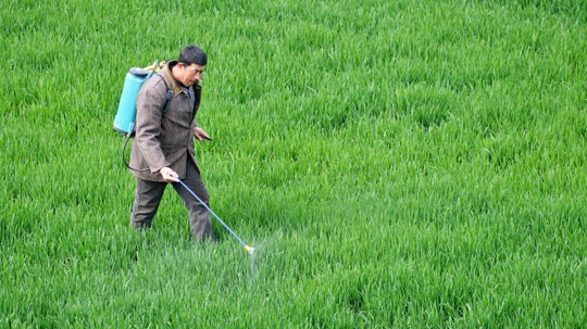 WHO cảnh báo khả năng glyphosate gây ung thư