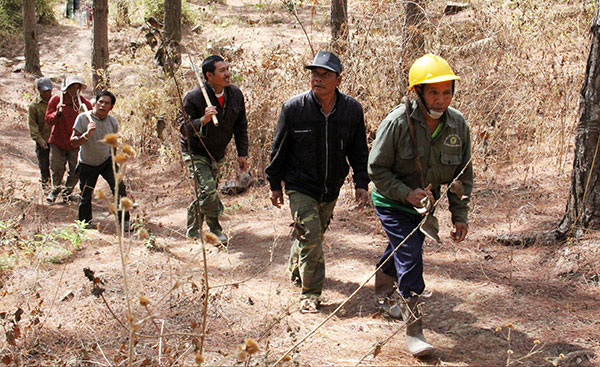 Chung tay và khẩn trương hành động REDD+