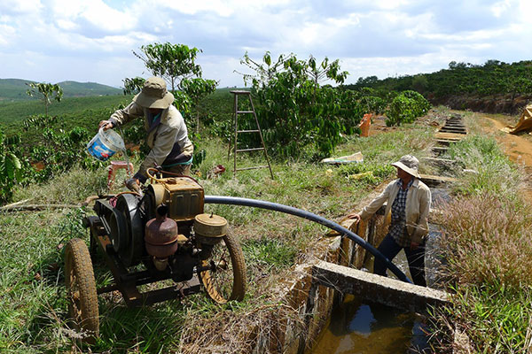 Nước được điều tiết từ hệ thống kênh mương Đak Long Thượng