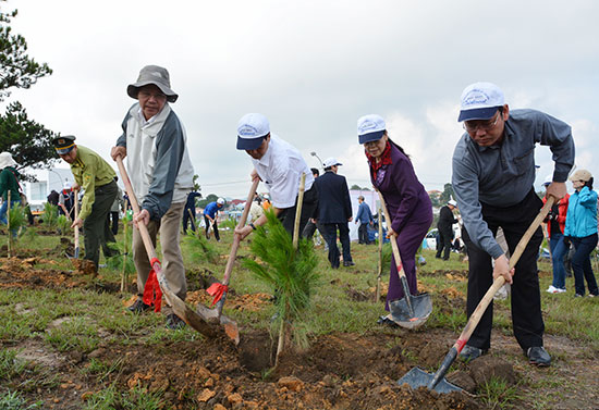 Ra quân trồng cây xanh năm 2015