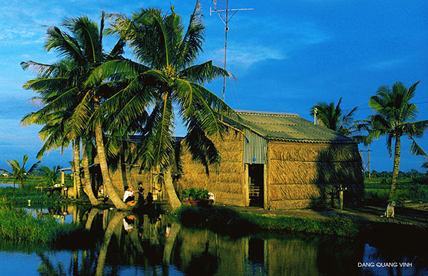 Quê nhà (Ảnh: Quang Vinh, Bạc Liêu)