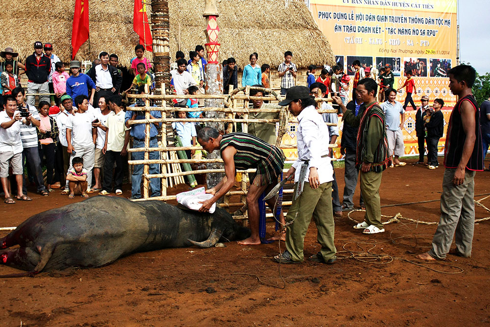 Dân làng chia của cho trâu