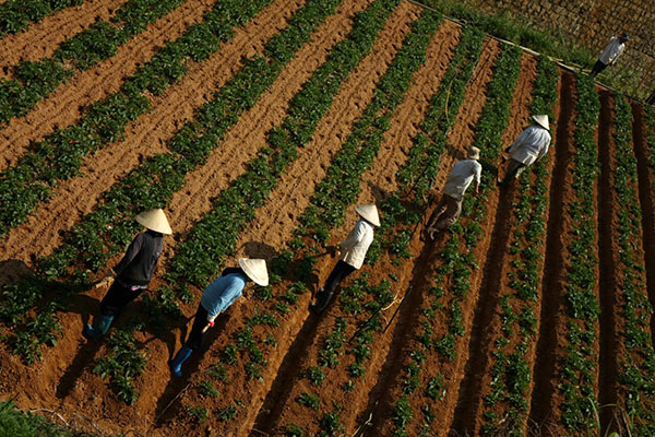 Cuộc sống lao động của con người ở vùng ven để lại ấn tượng đẹp trong lòng Yu Young Rok