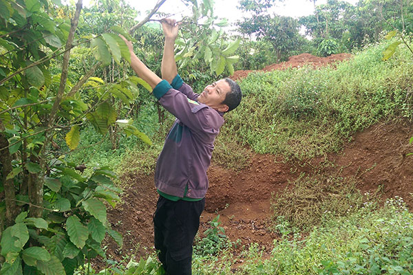 Chờ đền bù...