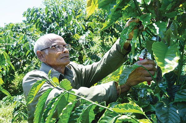 Già làng Ha Choong học tập Bác Hồ