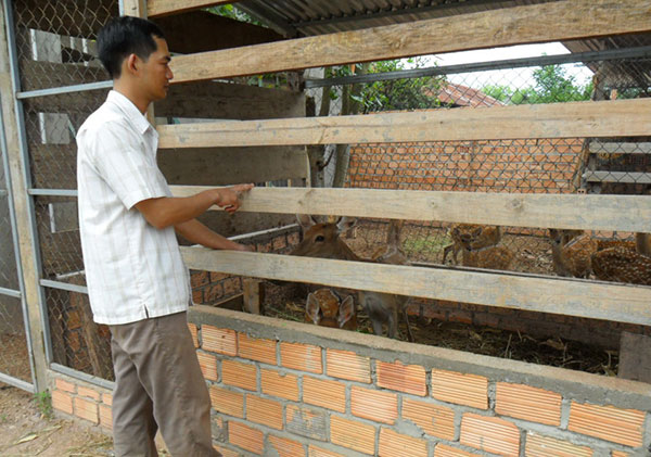 Nhạy bén tìm hướng làm giàu