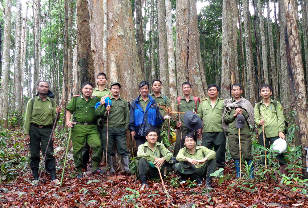 Đoàn liên ngành kiểm lâm, công an và chủ rừng phối hợp kiểm tra, truy quét