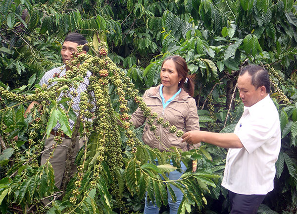 Đam Rông: Tập trung thực hiện những nhiệm vụ trọng tâm của Đại hội Đảng