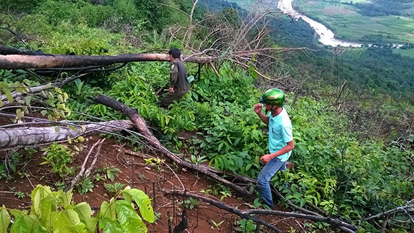 Phá rừng làm rẫy ở huyện Đạ Huoai