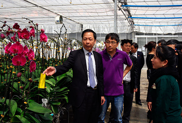 Phó Chủ tịch UBND tỉnh Trần Ngọc Liêm thăm, kiểm tra thực tế trang trại sản xuất lan hồ điệp của doanh nghiệp Apolo