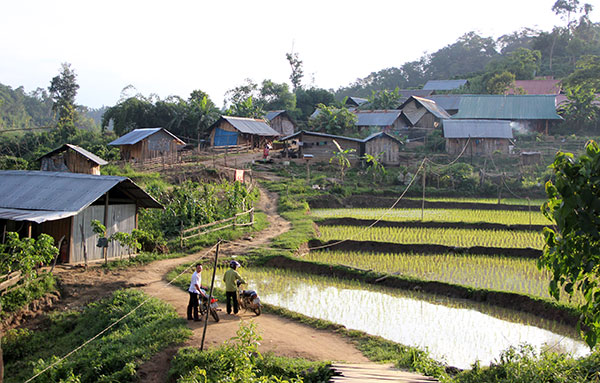 Dân di cư tự do ở Đam Rông: Bài toán chưa có lời giải