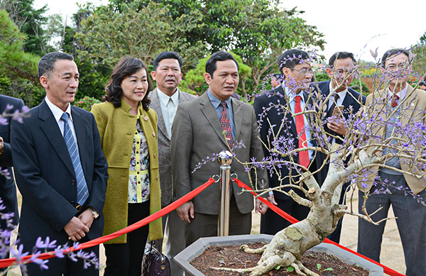 Khai mạc hội hoa Xuân Đà Lạt năm 2017