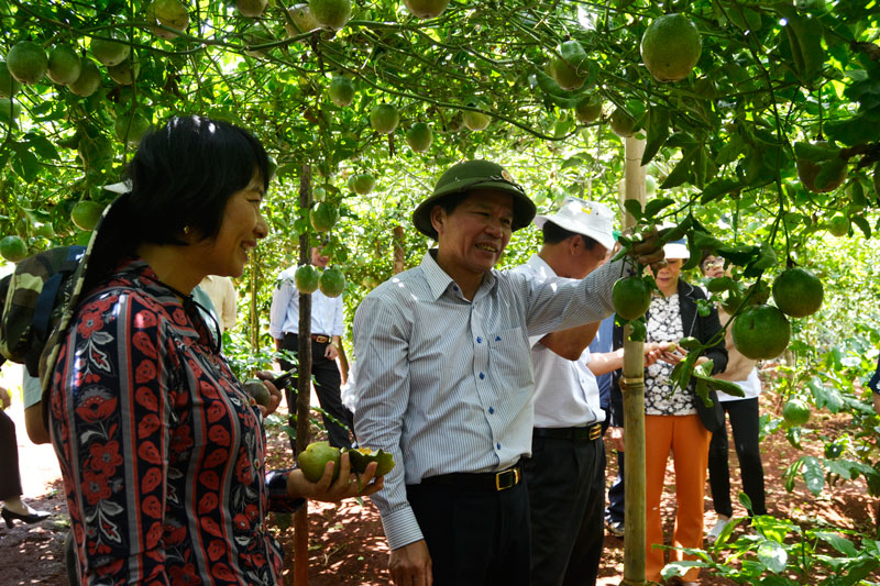 Thăm một số mô hình sản xuất, kinh doanh nông nghiệp trên địa bàn thôn Buôn Chuối, xã Mê Linh và thị trấn Nam Ban của huyện Lâm Hà