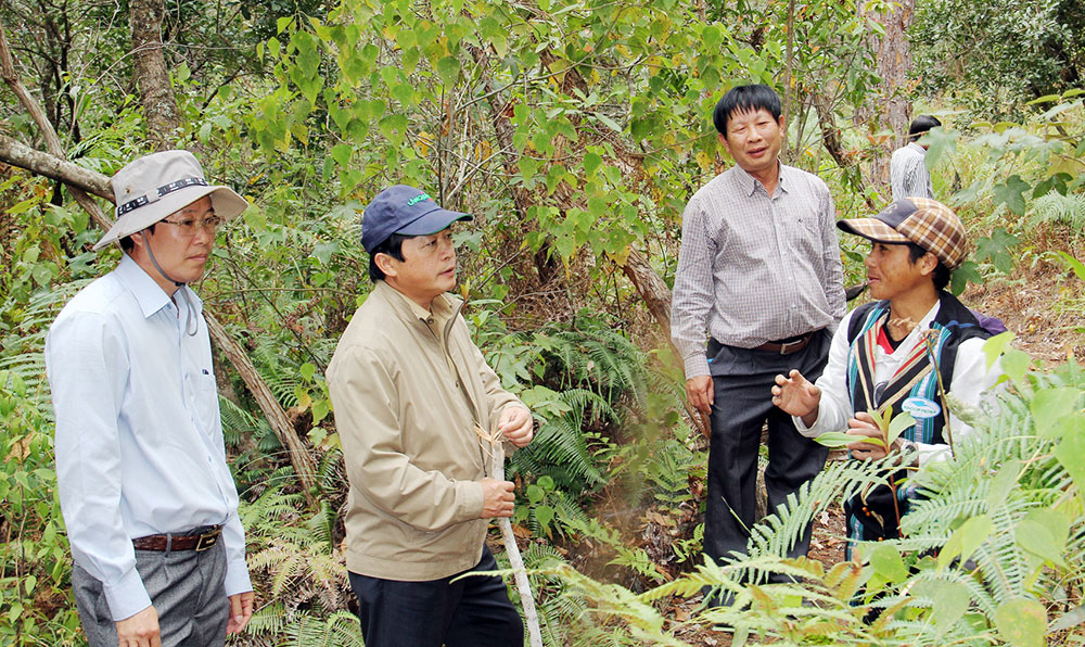 Phó Bí thư Tỉnh ủy, Chủ tịch UBND tỉnh Lâm Đồng Đoàn Văn Việt (thứ 2 từ trái qua) kiểm tra và chỉ đạo nhiệm vụ QLBV&PTR tại Vườn quốc gia Bidoup - Núi Bà