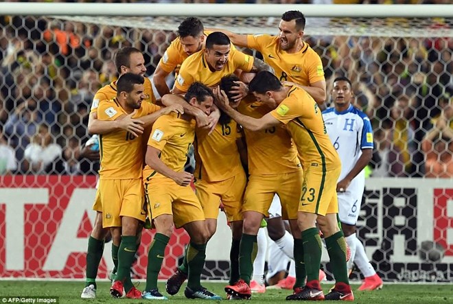 Australia giành vé dự World Cup 2018. (Nguồn: AFP/Getty Images)