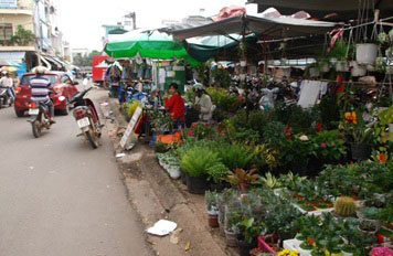 Người dân chiếm trọn hành lang đường Nguyễn Viết Xuân, thị trấn Liên Nghĩa bày bán cây cảnh bonsai, may sửa đồ, sửa ổ khóa…