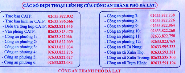 Người dân tối giác các hành vi vi phạm pháp luật có thể gọi điện kịp thời tới các đầu số điện thoại Công an TP Đà Lạt cung cấp trong tờ tuyên tuyền nâng cao ý thức cảnh giác, tự bảo vệ tài sản