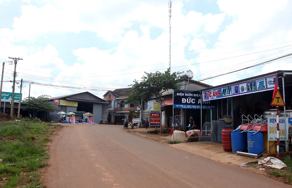 Trăn trở Ðinh Trang Hòa