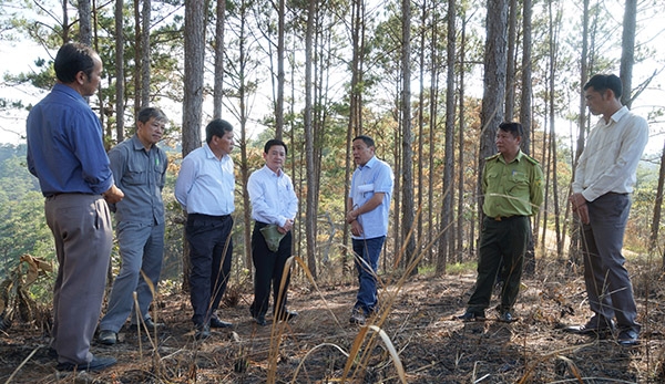 Phó Chủ tịch UBND tỉnh Phan Văn Đa thị sát tại Cụm tiểu khu 669 rừng phòng hộ Ninh Gia