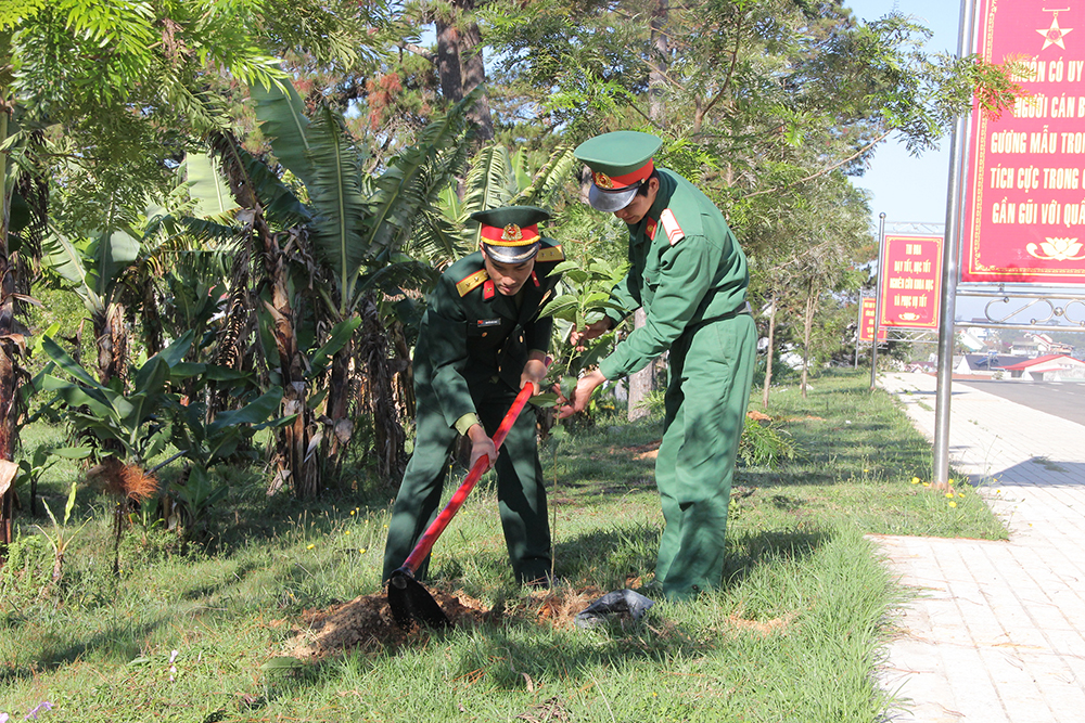 Hơn 200 cây mai anh đào đã được đoàn viên thanh niên trồng trong khuôn viên Học viện để khởi động tháng thanh niên